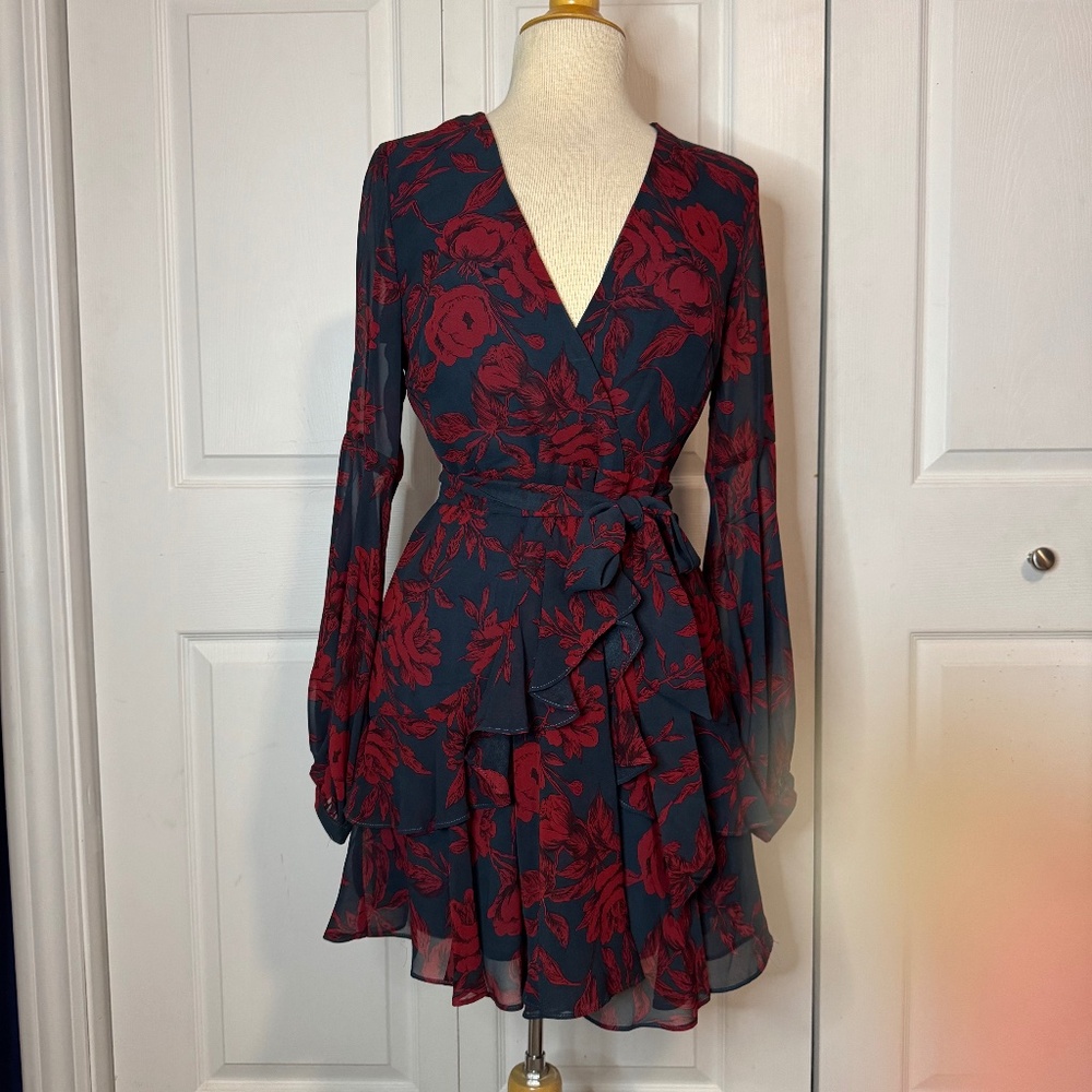 Selfie Leslie V-neck, sheer dress.   Sz 10